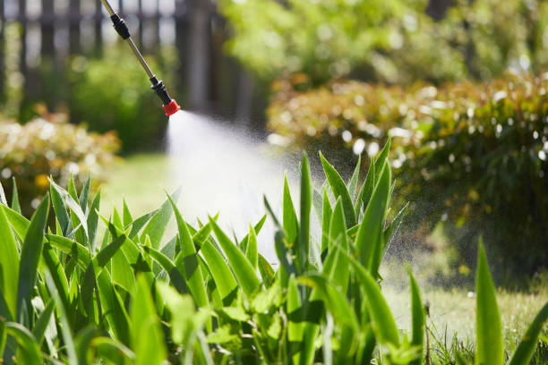 24/7 Emergency Wasp Removal experts in Perry, FL