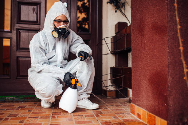 Reliable Wasp Removal contractor in Perry, FL by Show Me Pest Control